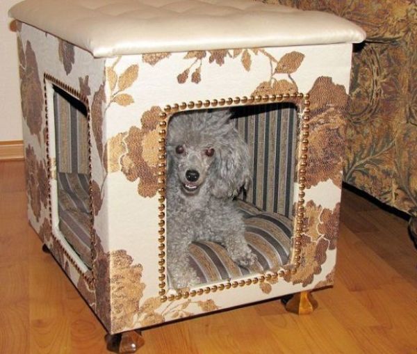House for a dog: how to make it yourself